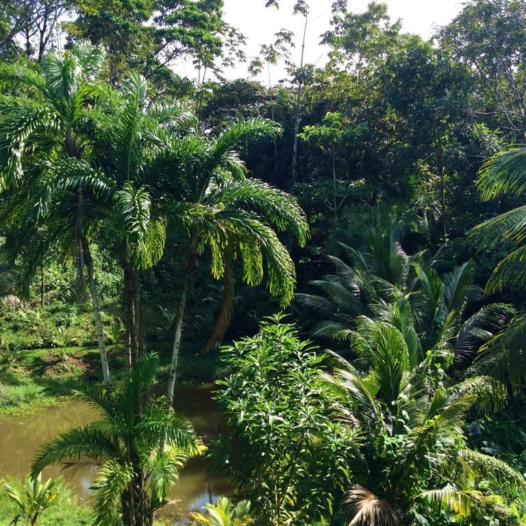 Los Secretos Guesthouse Bocas del Toro Zewnętrze zdjęcie