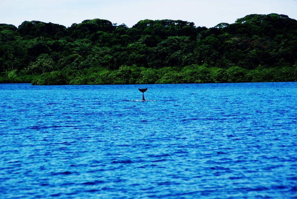 Los Secretos Guesthouse Bocas del Toro Zewnętrze zdjęcie