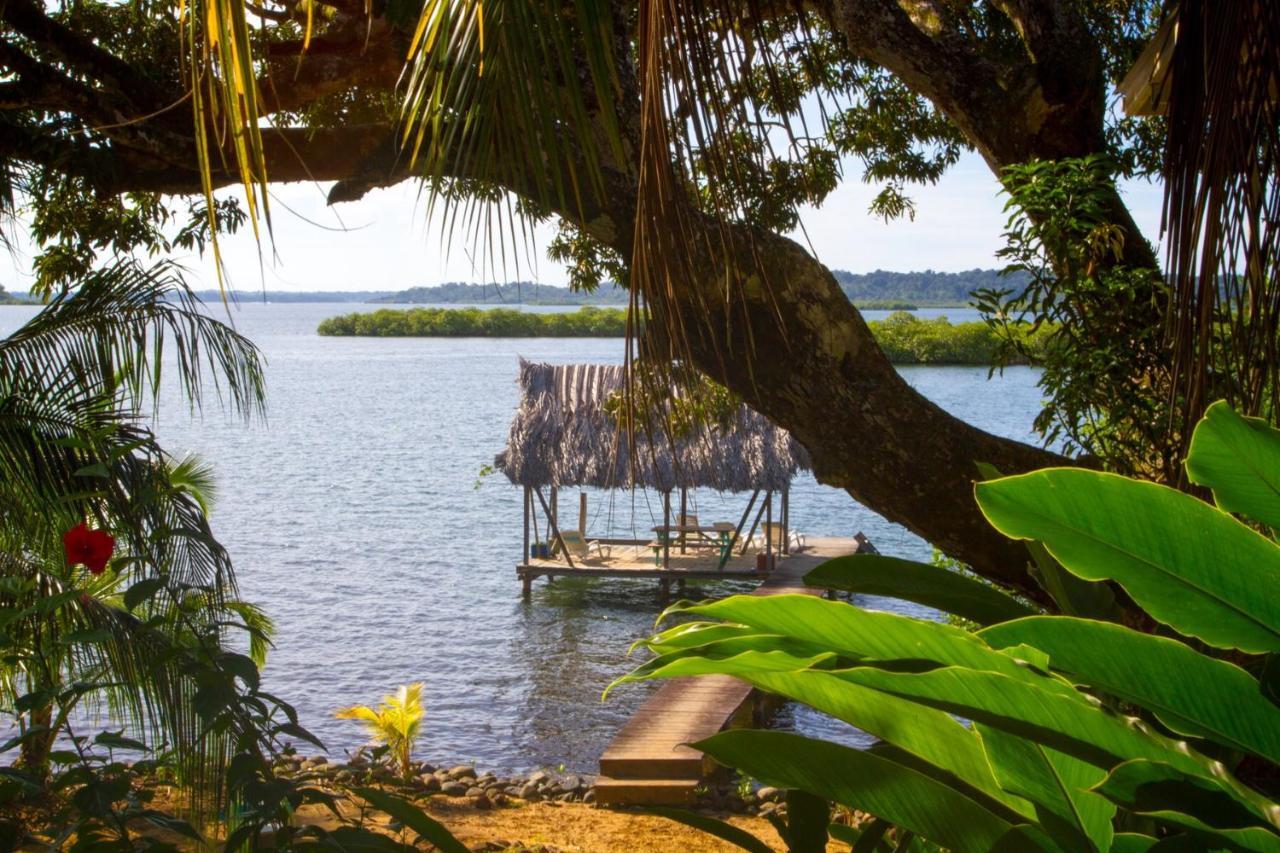 Los Secretos Guesthouse Bocas del Toro Zewnętrze zdjęcie