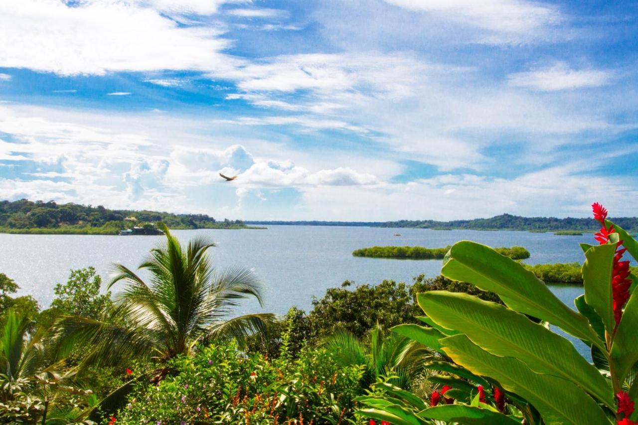 Los Secretos Guesthouse Bocas del Toro Zewnętrze zdjęcie